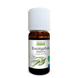 Huile essentielle Eucalyptus globulus bio 10ml