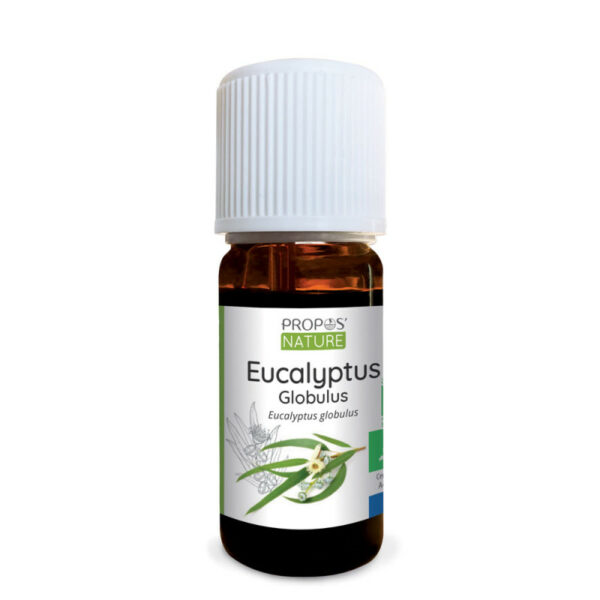 Huile essentielle Eucalyptus globulus bio 10ml