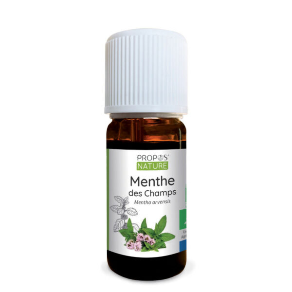 Huile essentielle Menthe des champs bio 10ml