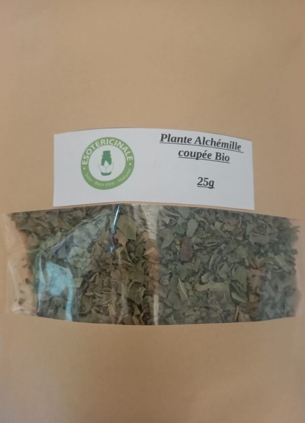 Alchemille