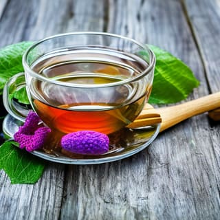 Tisanes et infusions