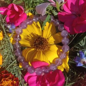 Bracelet Améthyste Perles 8mm