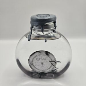 Araignée d’Encre
